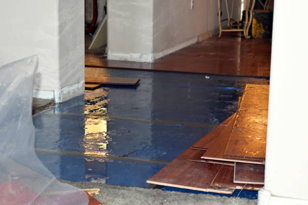 Professional Basement Flood Cleanup technician working in Linden, AL